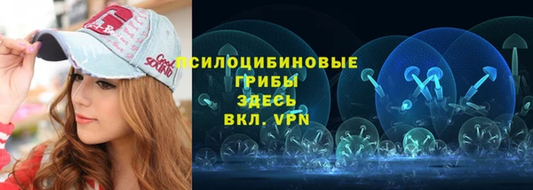 прущие грибы Белоозёрский