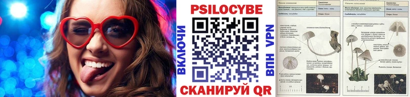 сколько стоит  Семикаракорск  Псилоцибиновые грибы Cubensis 